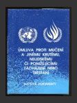 Úmluva proti mučení, nelidskému či ponižujícímu zacházení nebo trestání - náhled