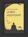 Umění meditovat - náhled