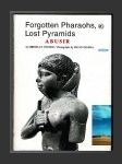 Forgotten Pharaohs, Lost Pyramids. Abusir - náhled