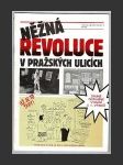 Něžná revoluce v pražských ulicích - náhled