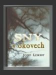 Sny v okovech - náhled