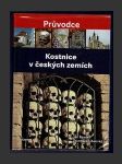 Kostnice v českých zemích - náhled