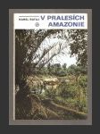 V pralesích Amazonie - náhled