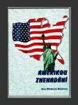 Amerikou znenadání - náhled