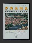 Praha očima ptáků - náhled