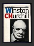 Winston Churchill - náhled