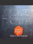 Symfonie bratrských hlasů - poezie otokara březiny v cizích jazycích - březina otokar - náhled