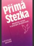 Přímá stezka. Mystická praxe k poznání skutečnosti - náhled