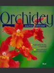 Orchidey - náhled