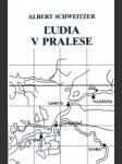 Ľudia v pralese - náhled