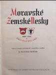 Moravské zemské desky II. - náhled