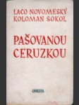 Pašovanou ceruzkou - náhled