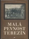 Malá pevnost Terezín - náhled