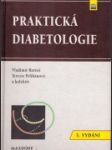 Praktická diabetologie - náhled