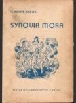 Synovia mora - náhled