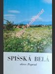 Spišská belá okres poprad - náhled