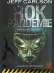 Rok pandemie - náhled