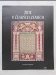 Židé v českých zemích - náhled