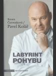 Labyrint pohybu - náhled