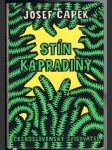 Stín  kapradiny - náhled