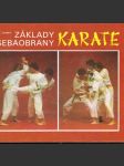 Základy sebeobrany - karate - náhled