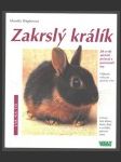 Zakrslý králík - náhled