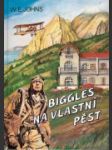 Biggles na vlastní pěst - náhled