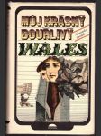 Můj krásný bouřlivý wales cordell alexander - náhled