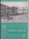 Pardubice - státní zámek a městská reservace památkové správy - náhled