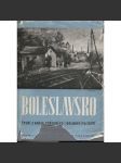 Boleslavsko - Čtení z kraje středního a dolního Pojizeří [Mladá Boleslav a okolí] - náhled