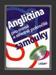 Angličtina pro mírně a středně pokročilé samouky + 2 CD - náhled