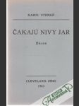 Čakajú nivy jar - náhled