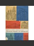 Prahou krok za krokem - Uměleckohistorický průvodce městem [architektura Prahy, památky, stavby, domy, Praha] - náhled