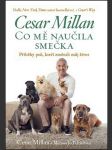 Co mě naučila smečka cesar millan - náhled