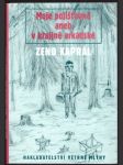 Moje pojišťovna aneb v krajině arkádské kaprál zeno - náhled