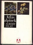 Atlas alpínek pilát albert - náhled