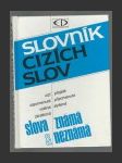 Slovník cizích slov - náhled