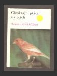 Cizokrajní ptáci v klecích - kanáři a jejich kříženci - náhled