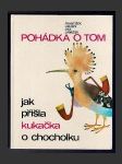 Pohádka o tom jak přišla kukačka o chocholku - náhled