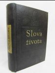 Slova života: Věcná konkordance textů Písma svatého - náhled