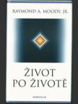 Život po životě - náhled