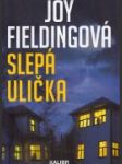 Slepá ulička - náhled