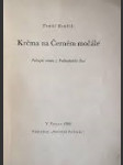 Krčma na černém močále - policejní román z podkarpatské rusi - náhled