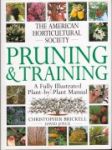 Prunning and Training - náhled