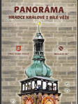 Panorama  hradce  králové  z  bílé  věže - náhled