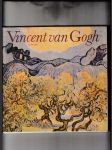 Vincent van Gogh - náhled