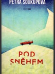 Pod sněhem - náhled