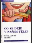 Co se děje v našem těle? - náhled