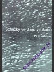 Schůzky ve stínu velikánů - šabaka petr - náhled