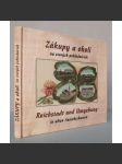 Zákupy a okolí na starých pohlednicích / Reichstadt und Umgebung in alten Ansichtskarten [Zákupy, okres Česká Lípa, severní Čechy, Sudety, staré historické pohlednice, pohledy] - náhled